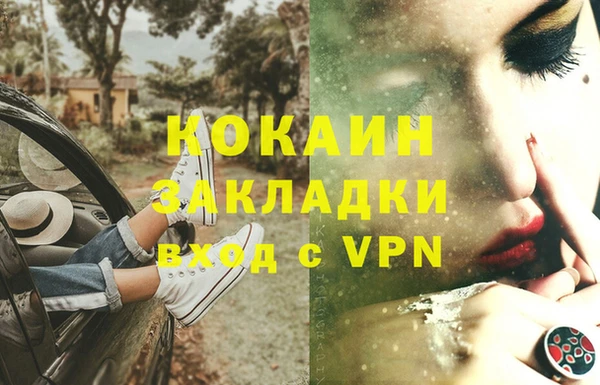 ГАЛЛЮЦИНОГЕННЫЕ ГРИБЫ Арсеньев