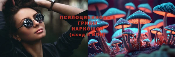 ГАЛЛЮЦИНОГЕННЫЕ ГРИБЫ Арсеньев