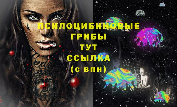 ГАЛЛЮЦИНОГЕННЫЕ ГРИБЫ Арсеньев