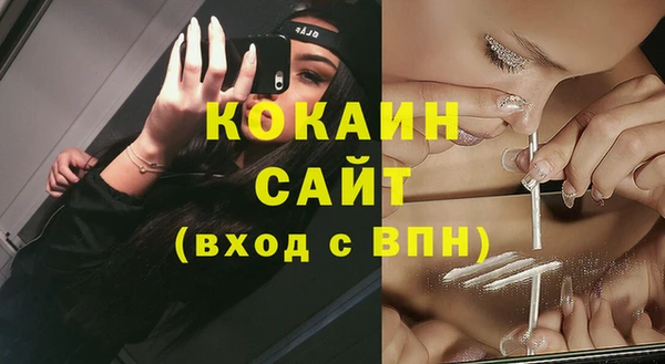 ГАЛЛЮЦИНОГЕННЫЕ ГРИБЫ Арсеньев