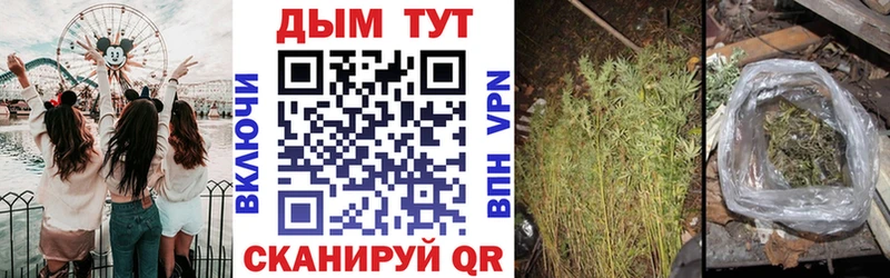 Конопля ГИДРОПОН  Новоалтайск 